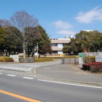農業・食品産業技術総合研究機構　果樹研究所